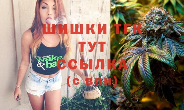 не бодяженный Новозыбков