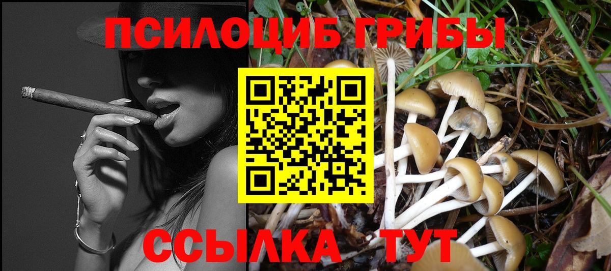 Галлюциногенные грибы Magic Shrooms  Лысьва 