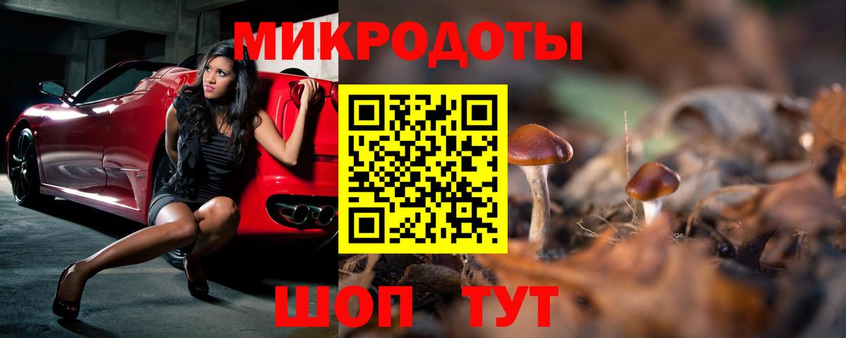 Псилоцибиновые грибы Cubensis Лысьва